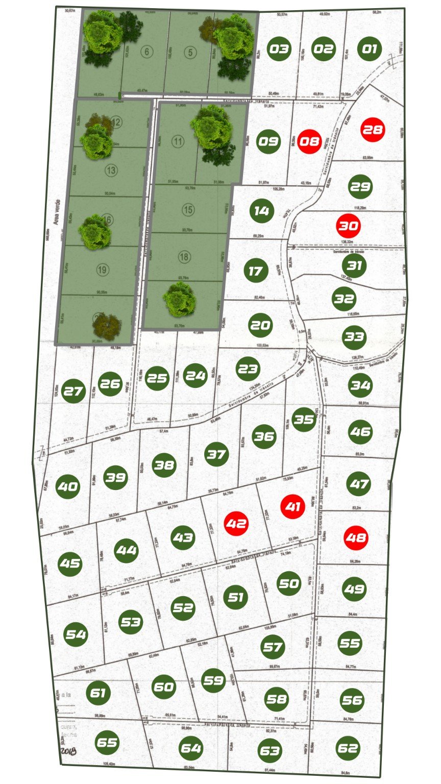 Master Plan Vertical
